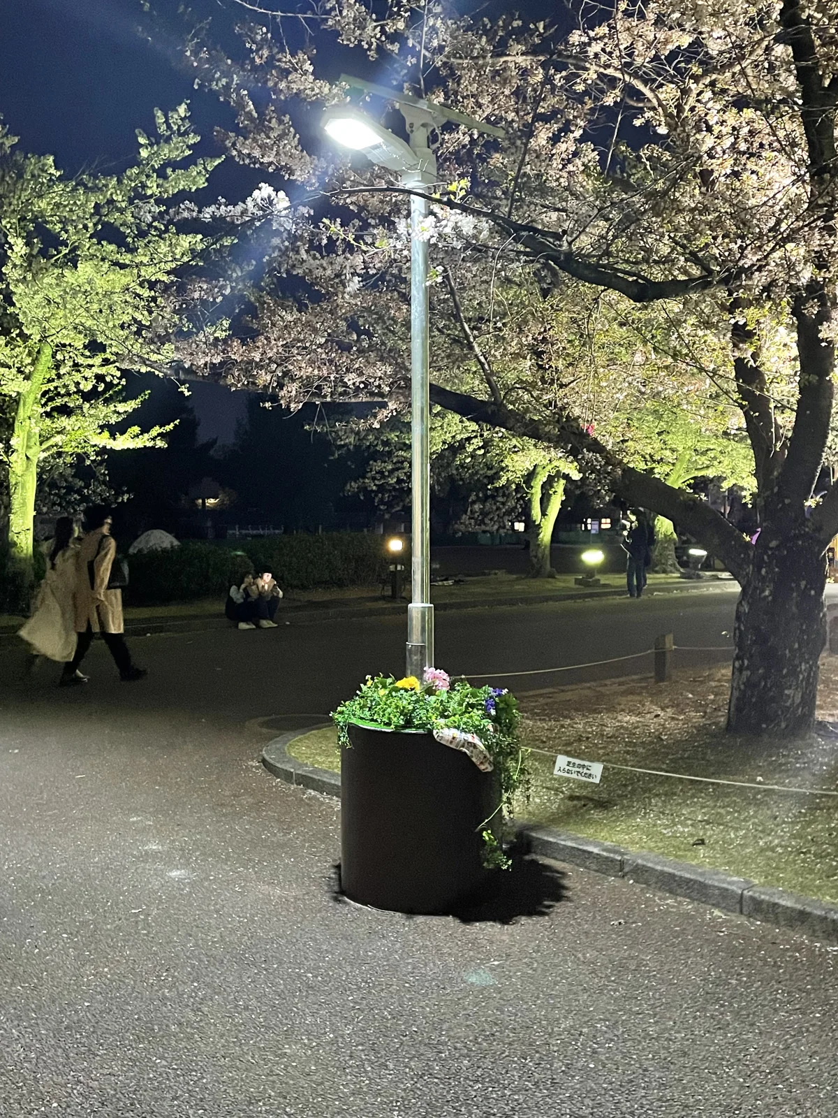 夜間の公園で通行者を照らす防災防犯ライト